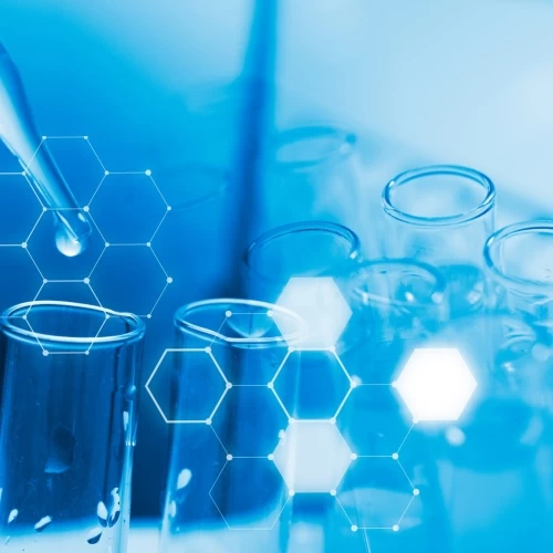 Chemical Processing Equipment