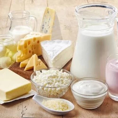 Dairy Processing Equipment