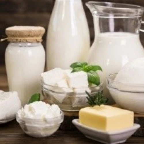 Dairy Processing Equipment